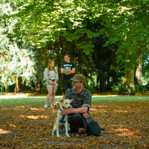 Trainer with a small dog in autumn leaves, participants in the background