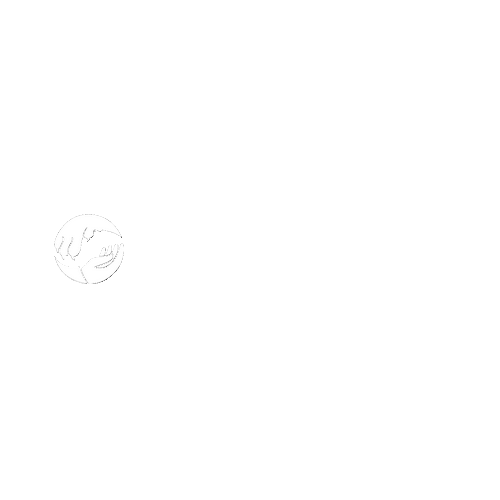 Hundehalterschule Hamburg Logo